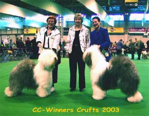 Bobtail.it I bobtail vincitori al Crufts 2003